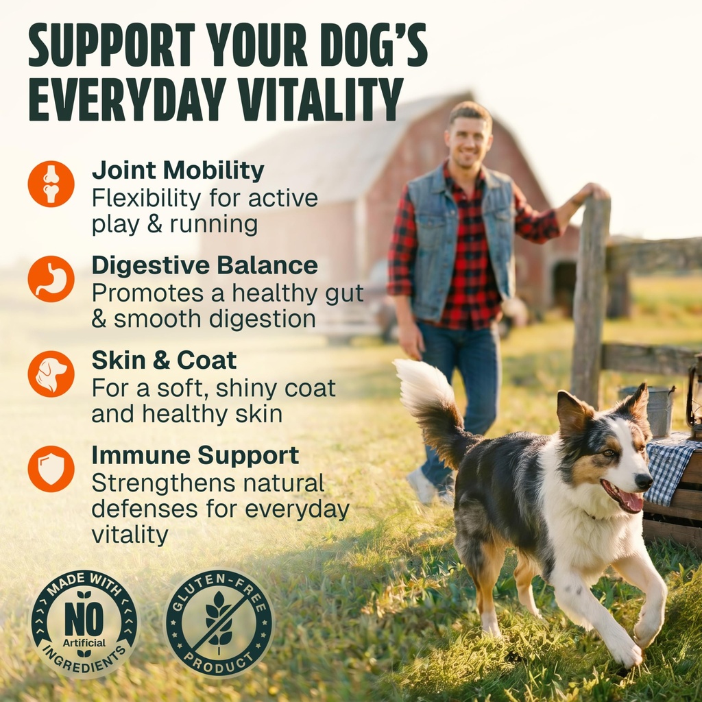 dog-vitamins-and-supplements-250-chews-2-4.jpg