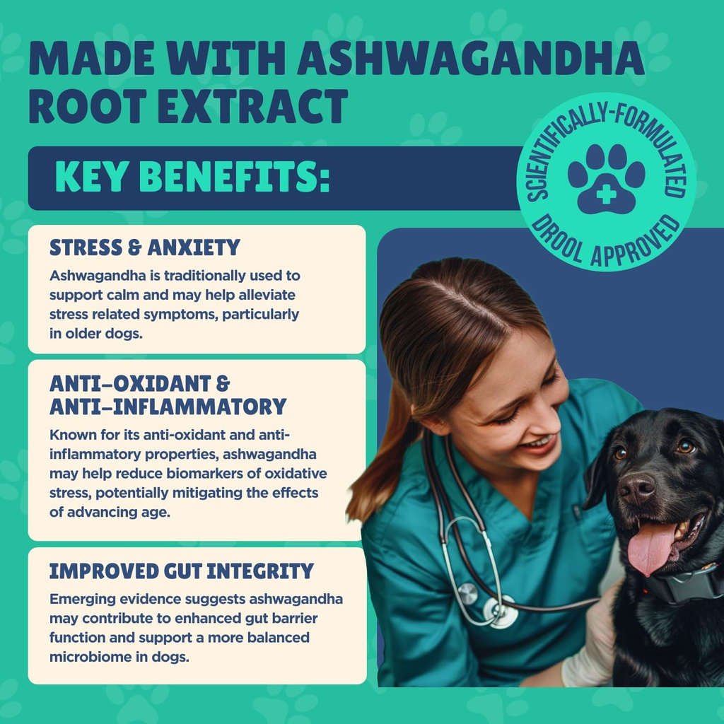 senior-dog-supplement-glucosamine-msm-tu-4.jpg