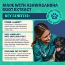 senior-dog-supplement-glucosamine-msm-tu-4.jpg