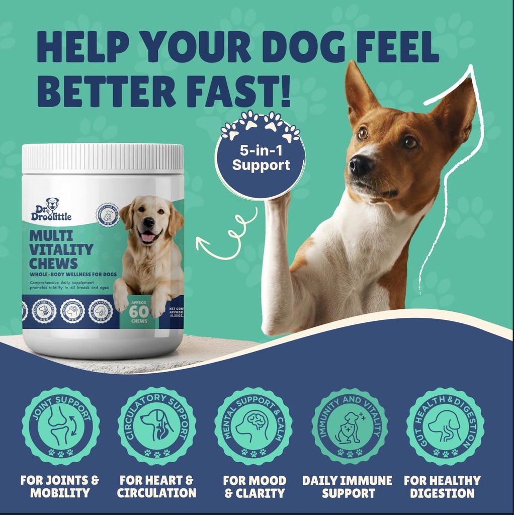 senior-dog-supplement-glucosamine-msm-tu-5.jpg