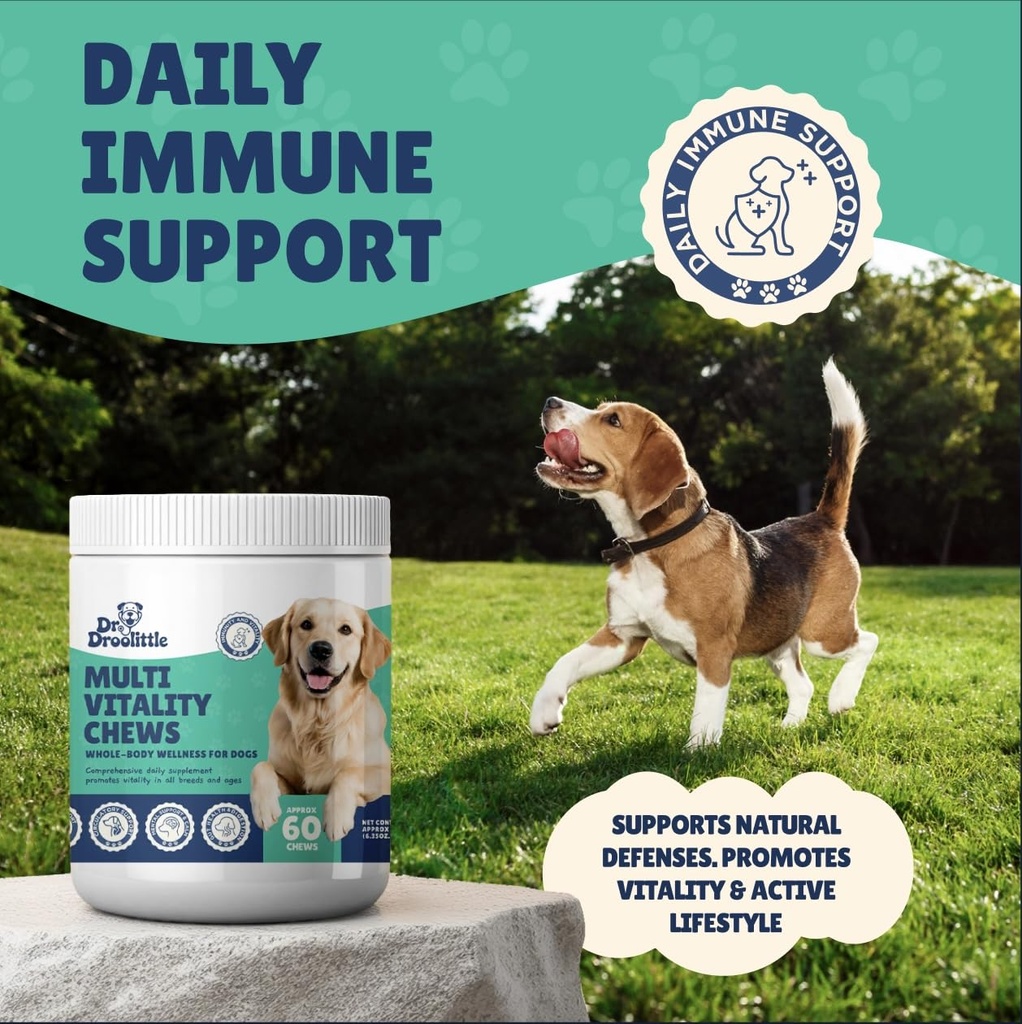 senior-dog-supplement-glucosamine-msm-tu-6.jpg