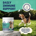senior-dog-supplement-glucosamine-msm-tu-6.jpg