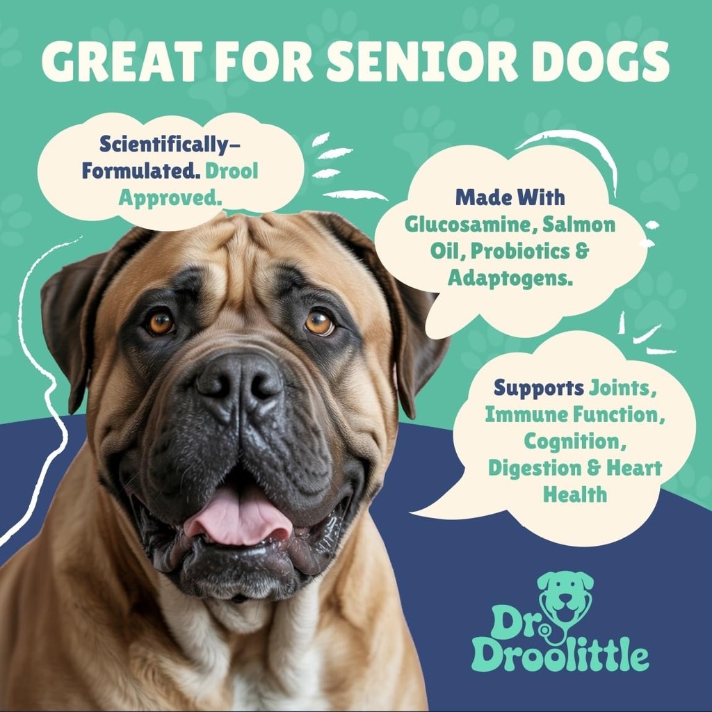 senior-dog-supplement-glucosamine-msm-tu-2.jpg