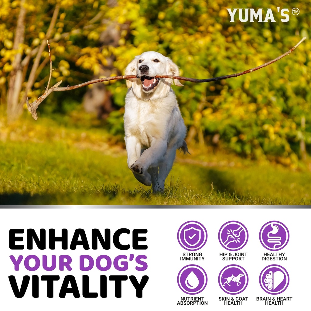 dog-vitamins-and-supplements-170-treats--4.jpg