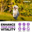 dog-vitamins-and-supplements-170-treats--4.jpg