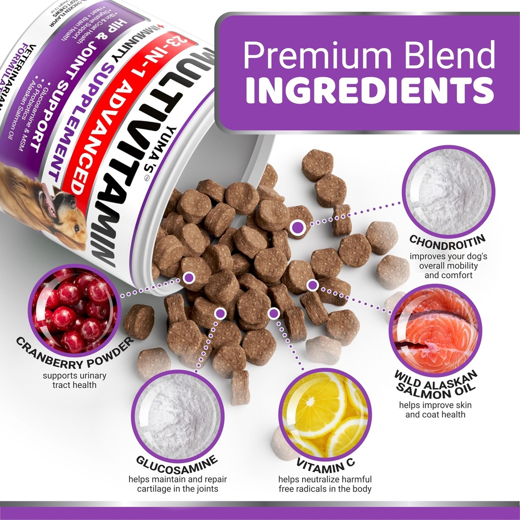dog-vitamins-and-supplements-170-treats--3.jpg