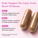 venture-pal-beet-root-capsules-for-blood-6.jpg