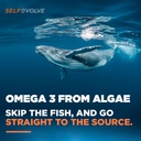 algae-omega-3-1-500mg-vegan-supplement-w-6.jpg