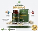 plant-based-omega-3-capsules-algae-oil-s-2.jpg