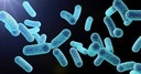 gut-food-and-repair-gi-tract-leaky-gut-r-4.jpg
