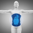 gut-food-and-repair-gi-tract-leaky-gut-r-5.jpg