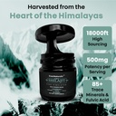 pure-himalayan-shilajit-resin-60g-gold-g-6.jpg