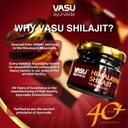vasu-ayurveda-himalayan-shilajit-resin-4-5.jpg