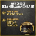 sesa-himalayan-shilajit-resin-100-ayurve-5.jpg