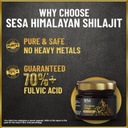 sesa-himalayan-shilajit-resin-100-ayurve-6.jpg