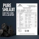 pure-shilajit-resin-0-35-fl-oz-10g-authe-4.jpg