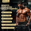 grevol-himalayan-shilajit-gummies-with-a-4.jpg