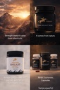 pindari-shilajit-resin-pure-shilajit-500-5.jpg