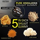 organic-shilajit-gummies-for-men-and-wom-4.jpg