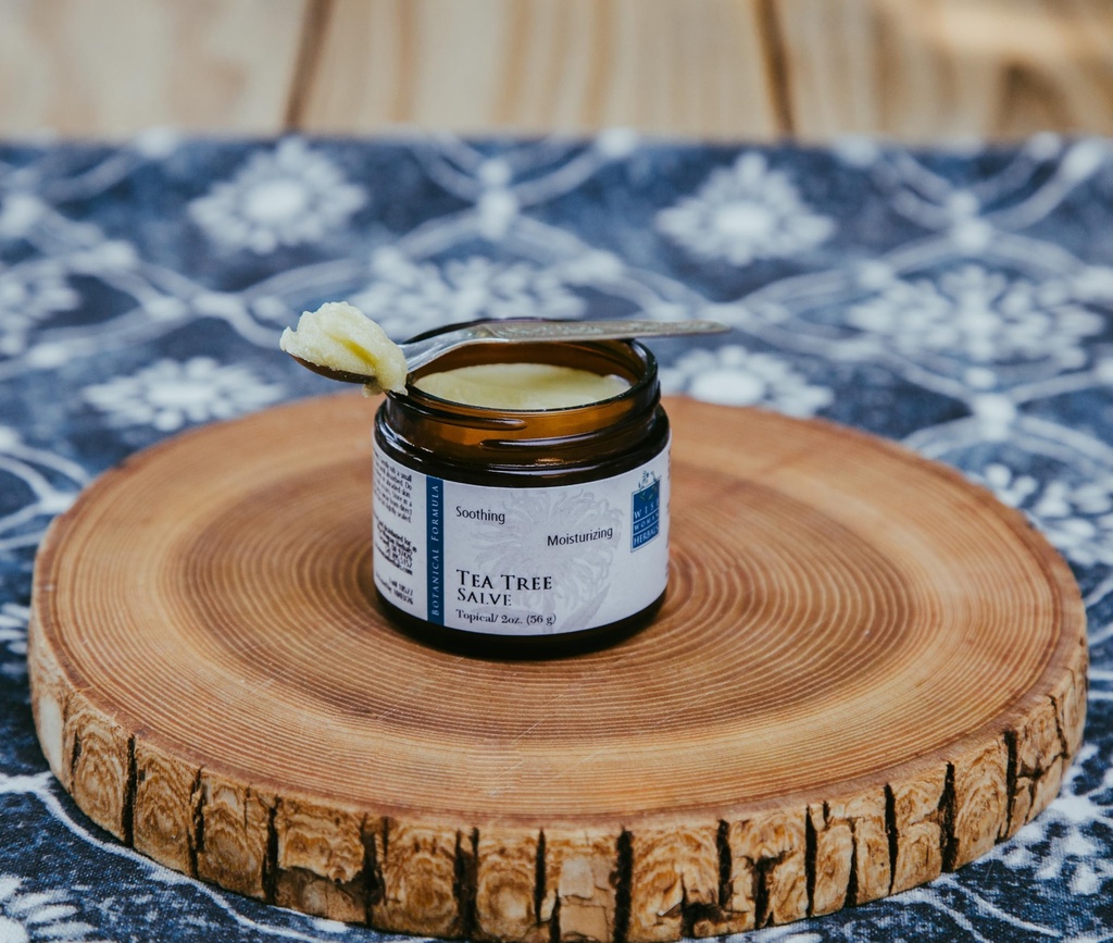 wise-woman-herbals-tea-tree-salve-2-oz-n-4.jpg