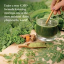 isagenix-moringa-greens-green-drink-powd-3.jpg