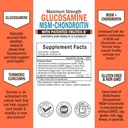 glucosamine-chondroitin-msm-triple-stren-3.jpg