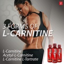 isatori-l-carnitine-ls3-3000-triple-blen-3.jpg