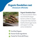 pet-wellbeing-dandelion-root-for-cats-li-3.jpg