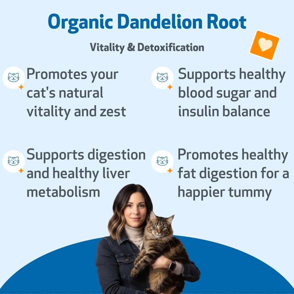pet-wellbeing-dandelion-root-for-cats-li-2.jpg