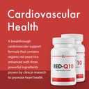 stop-aging-now-red-q10-organic-red-yeast-2.jpg