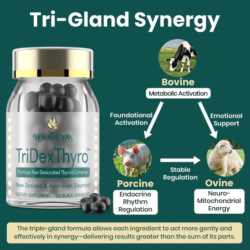 thyroid-supplement-tridexthyro-raw-desic-5.jpg