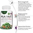 ala-alc-high-potency-formula-best-alpha--2.jpg