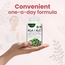 ala-alc-high-potency-formula-best-alpha--6.jpg
