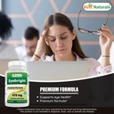 best-naturals-bilberry-extract-1000mg-ey-6.jpg