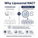 orvia-labs-liposomal-nac-1200mg-liver-ce-3.jpg