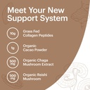 wellthy-collagen-superfood-powder-fights-4.jpg