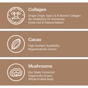 wellthy-collagen-superfood-powder-fights-6.jpg