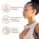 wellthy-collagen-superfood-powder-fights-3.jpg