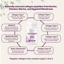 micro-ingredients-multi-collagen-complex-5.jpg