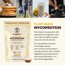 mycoprotein-mushroom-protein-powder-vani-2.jpg