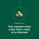 standard-process-diaplex-supplement-for--5.jpg