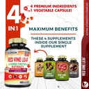 red-vine-leaf-extract-capsules-with-hors-2.jpg