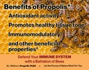 dr-ohhira-s-propolis-plus-with-brazilian-3.jpg