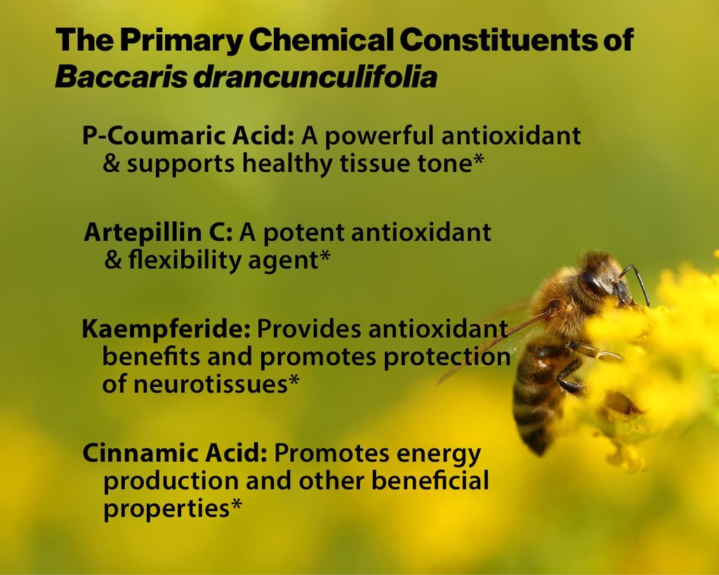 dr-ohhira-s-propolis-plus-with-brazilian-4.jpg
