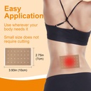 kongdy-capsaicin-patches-30-counts-hot-c-2.jpg