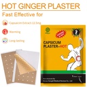 kongdy-capsaicin-patches-30-counts-hot-c-4.jpg