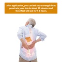 20-pcs-capsaicin-patches-pain-patches-he-5.jpg