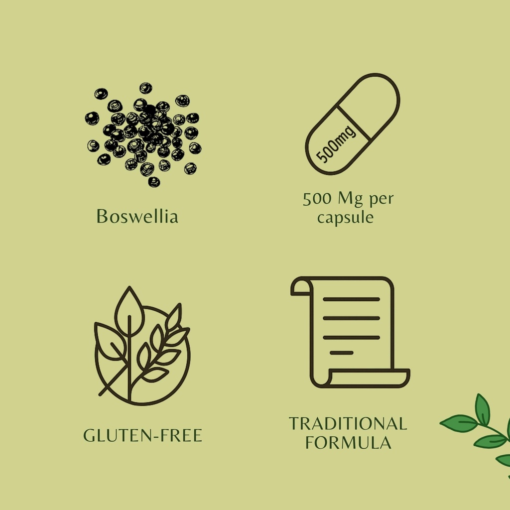 ayurvedashree-boswellia-serrata-extract--5.jpg