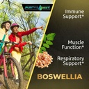 purity-s-best-boswellia-serrata-4x-10x-2-3.jpg