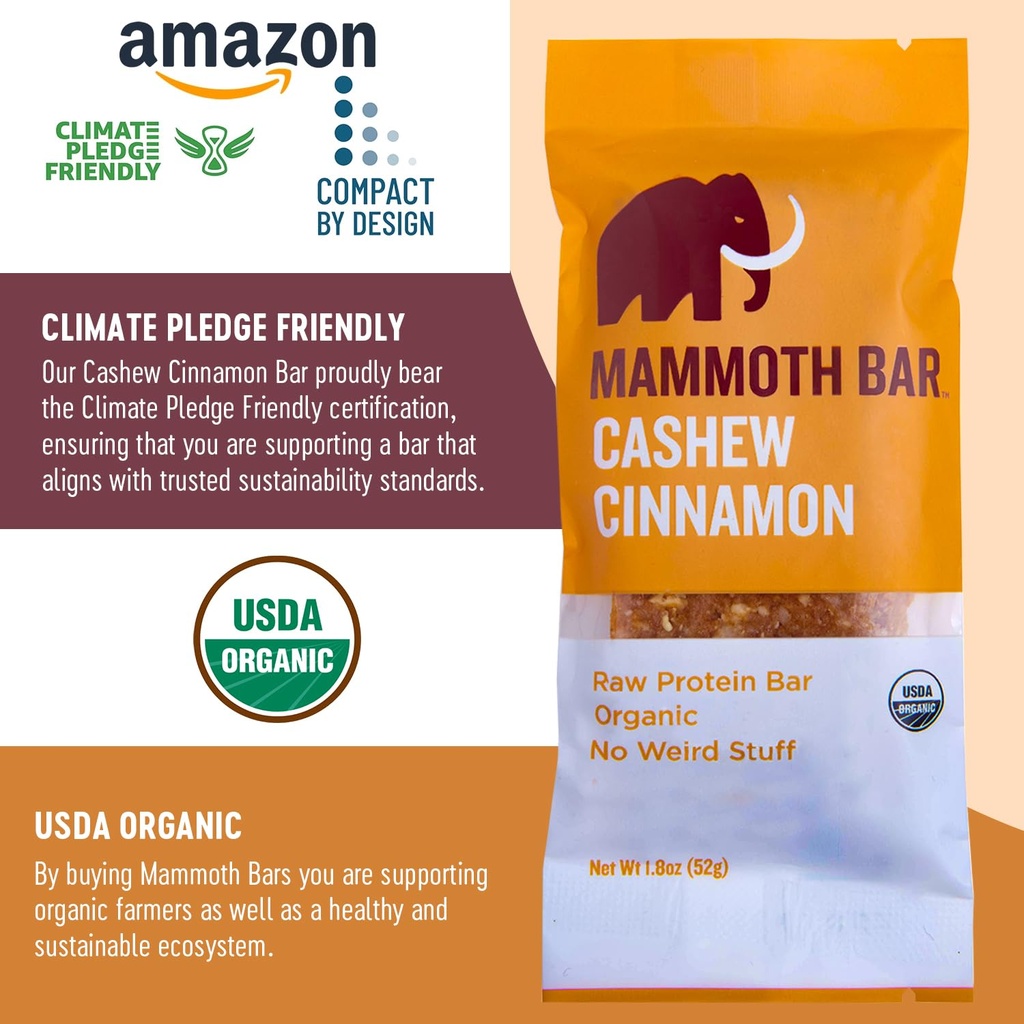 cashew-cinnamon-bar-organic-paleo-gluten-6.jpg